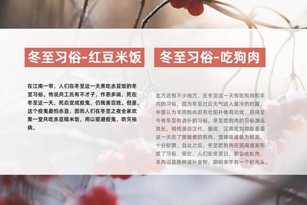 冬至节：古人如何在冬至节气中调养生机与健康