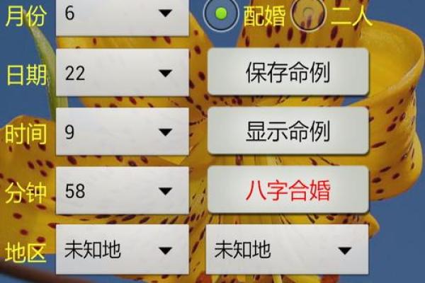 深度解析生辰八字纳音，合婚看哪些因素？命运差异能否改变