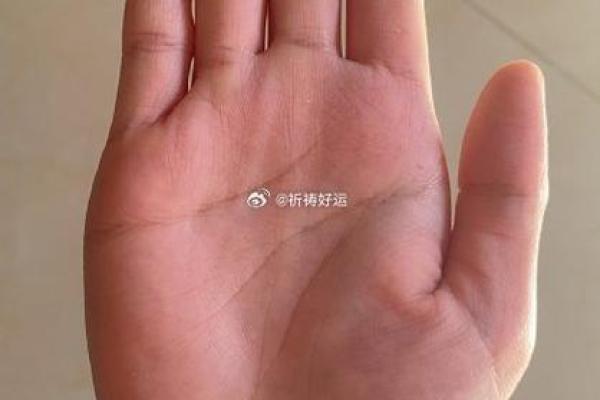 香港命理书解开命运密码，如何通过改变走向成功