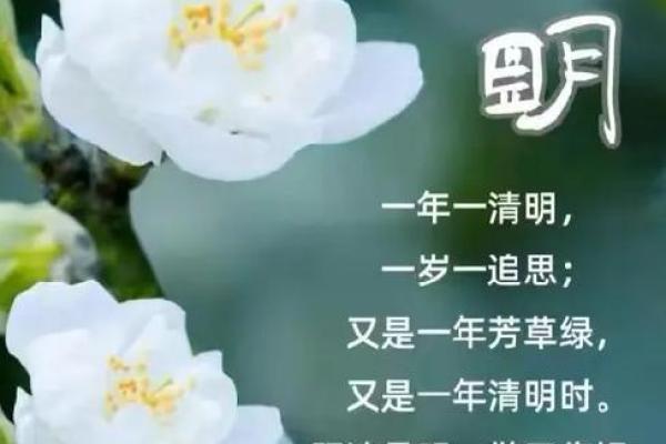 清明节：缅怀先祖与踏青养生的时节之约