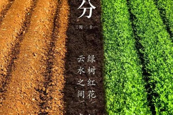 四月天文奇观：太阳回归与春分的天文意义
