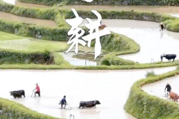 农耕季节与春耕开始的联系