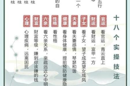 八字命理颠覆传统观念，如何通过命运密码找到人生突破口
