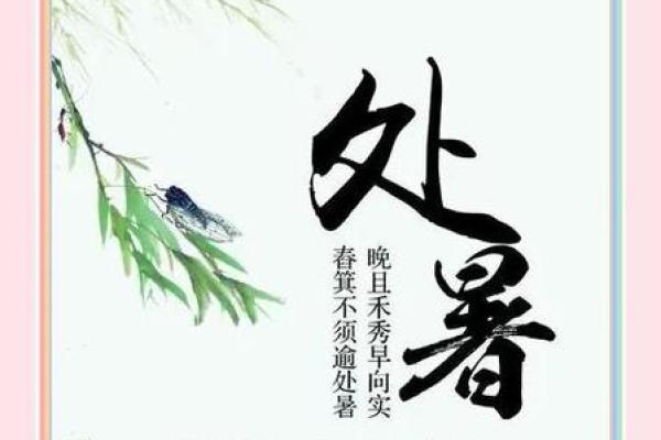 处暑：夏秋交替，农耕与健康管理
