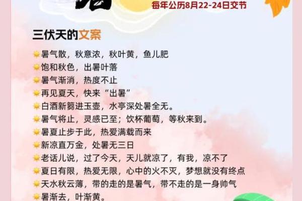 处暑：夏秋交替，农耕与健康管理