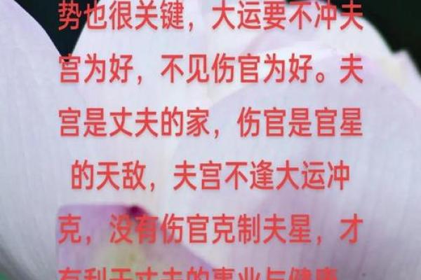 宫格命理中的暗藏玄机，揭开命运的神秘面纱
