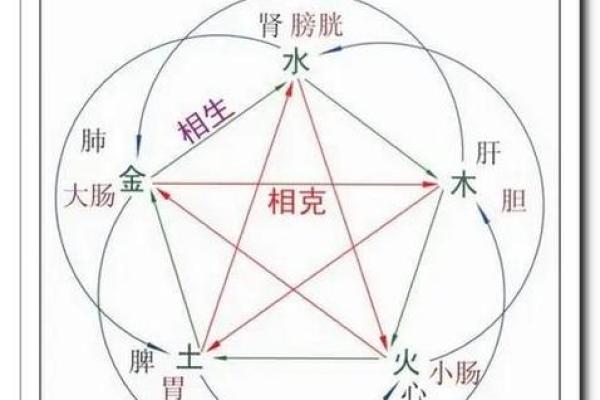 眼睛五行格局揭示性格奥秘 你可能忽视的性格信号