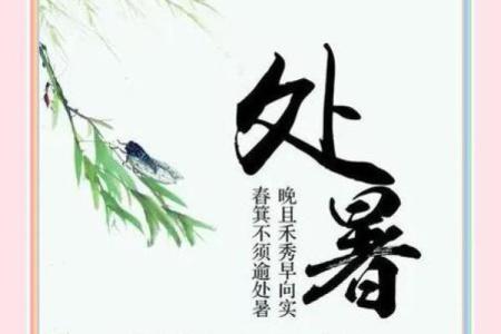 处暑：夏秋交替，农耕与健康管理