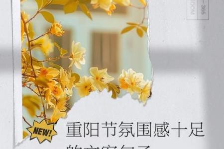 重阳节的天文寓意与自然变化
