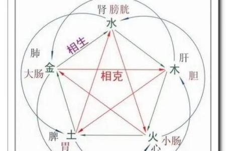 眼睛五行格局揭示性格奥秘 你可能忽视的性格信号